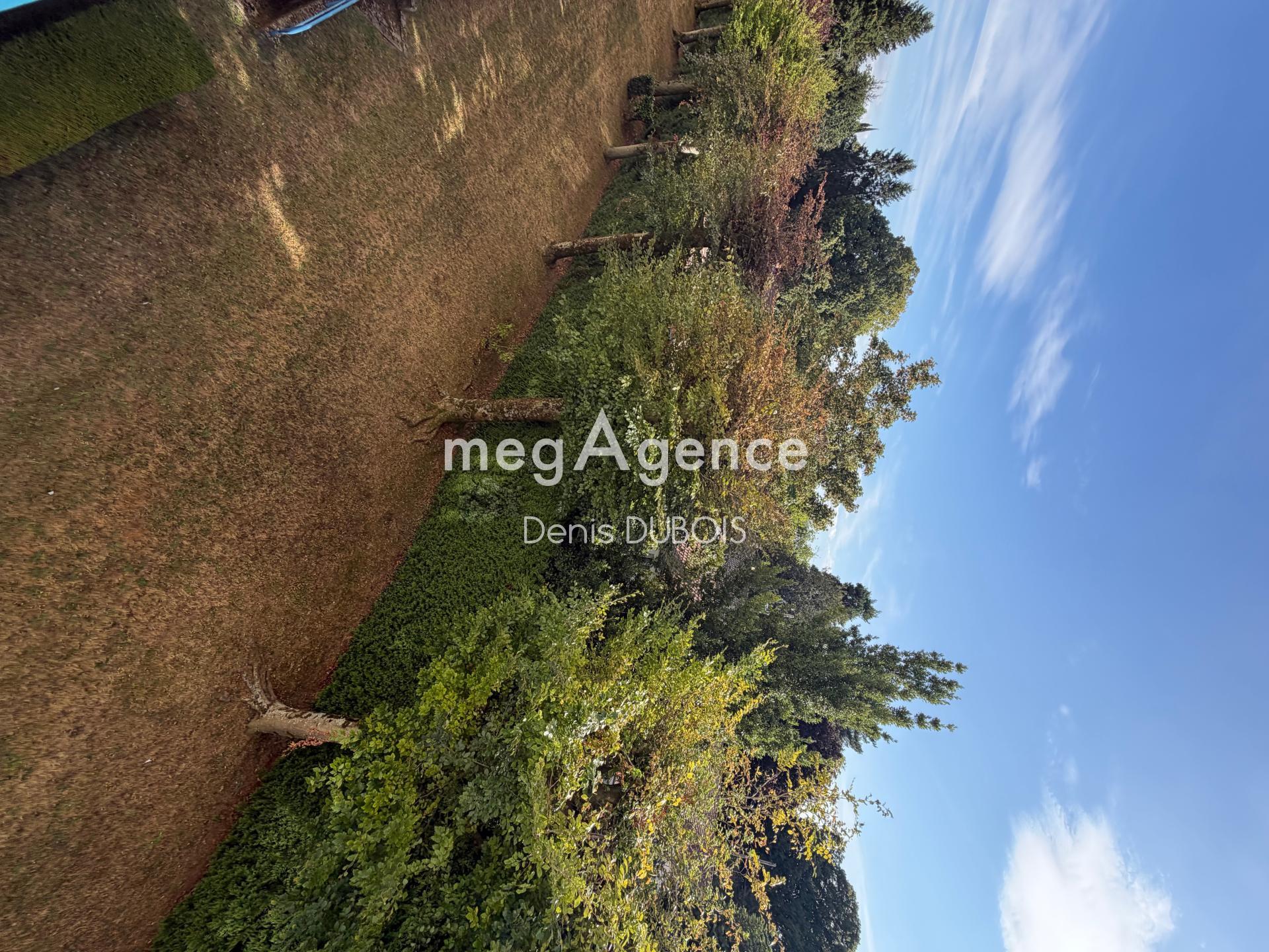 Miniature photo - 6 / 6