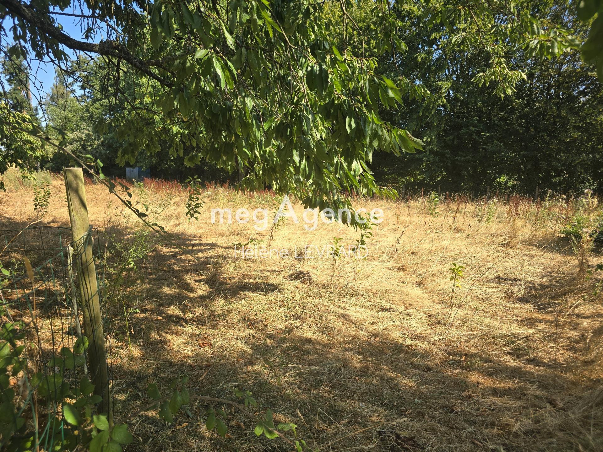 Miniature photo - 2 / 4