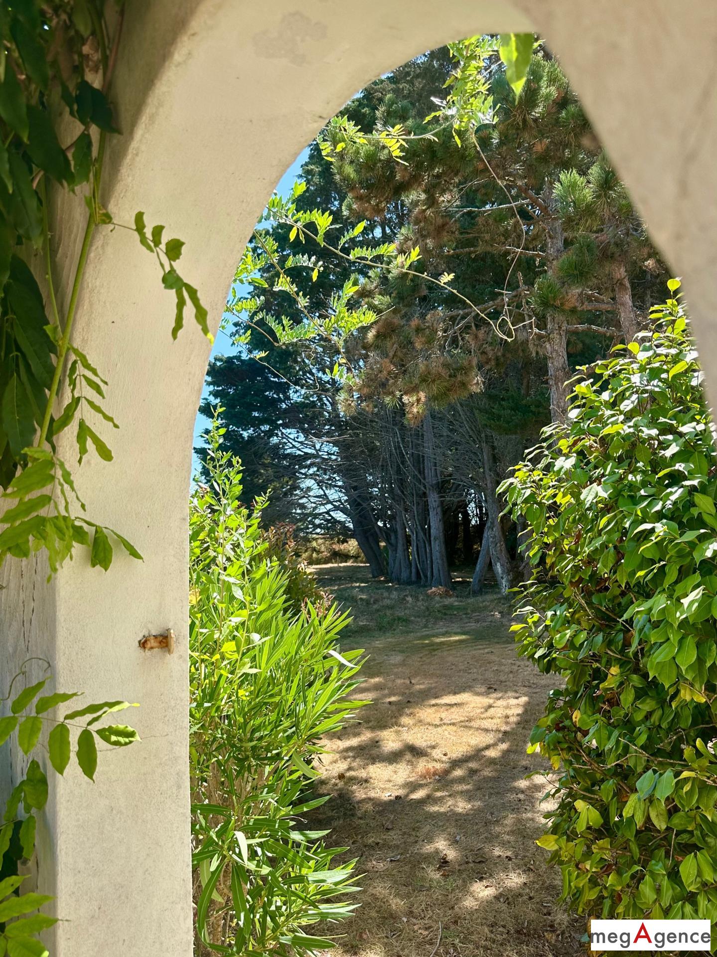 Miniature photo - 9 / 19