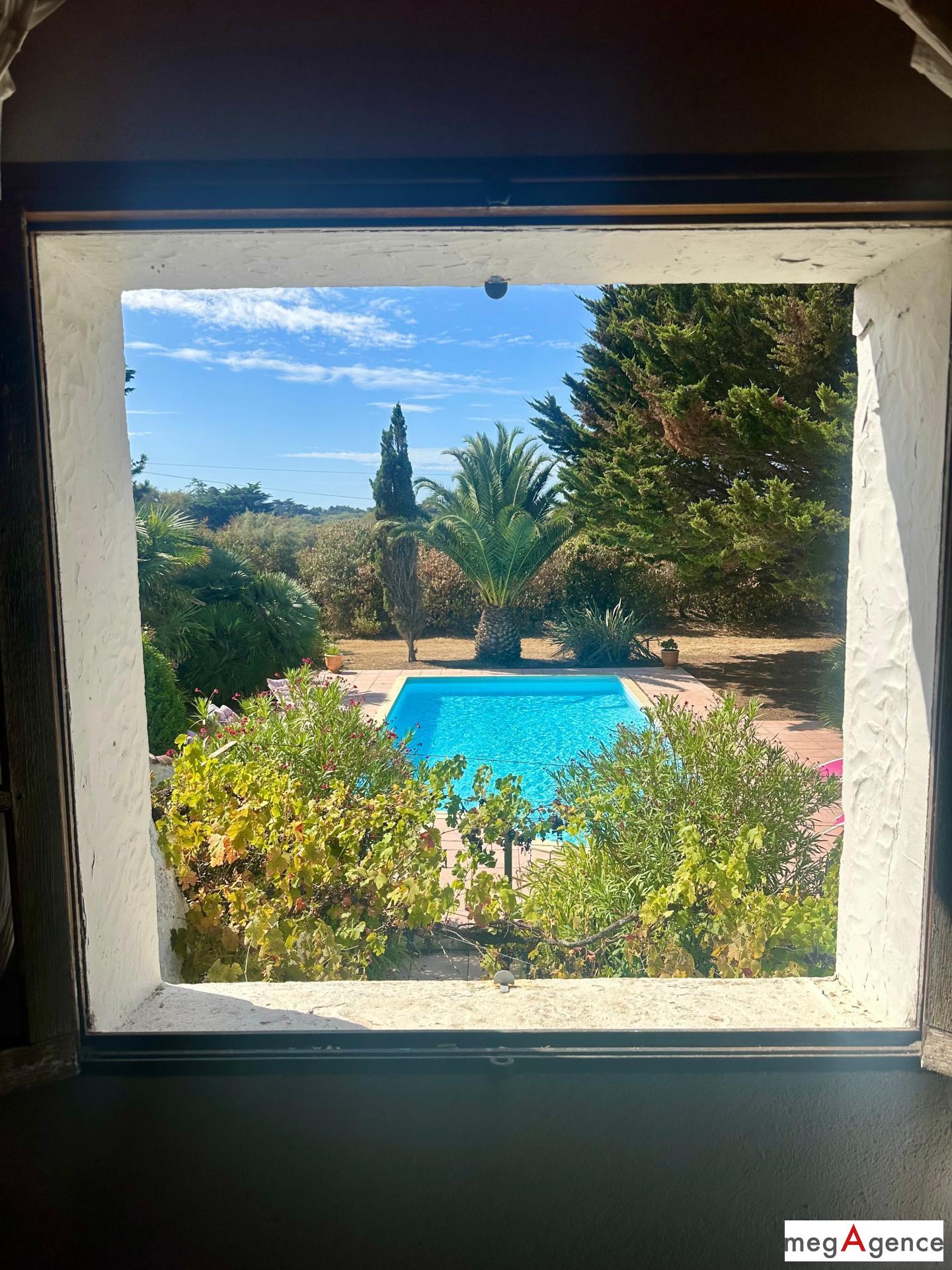 Miniature photo - 6 / 19