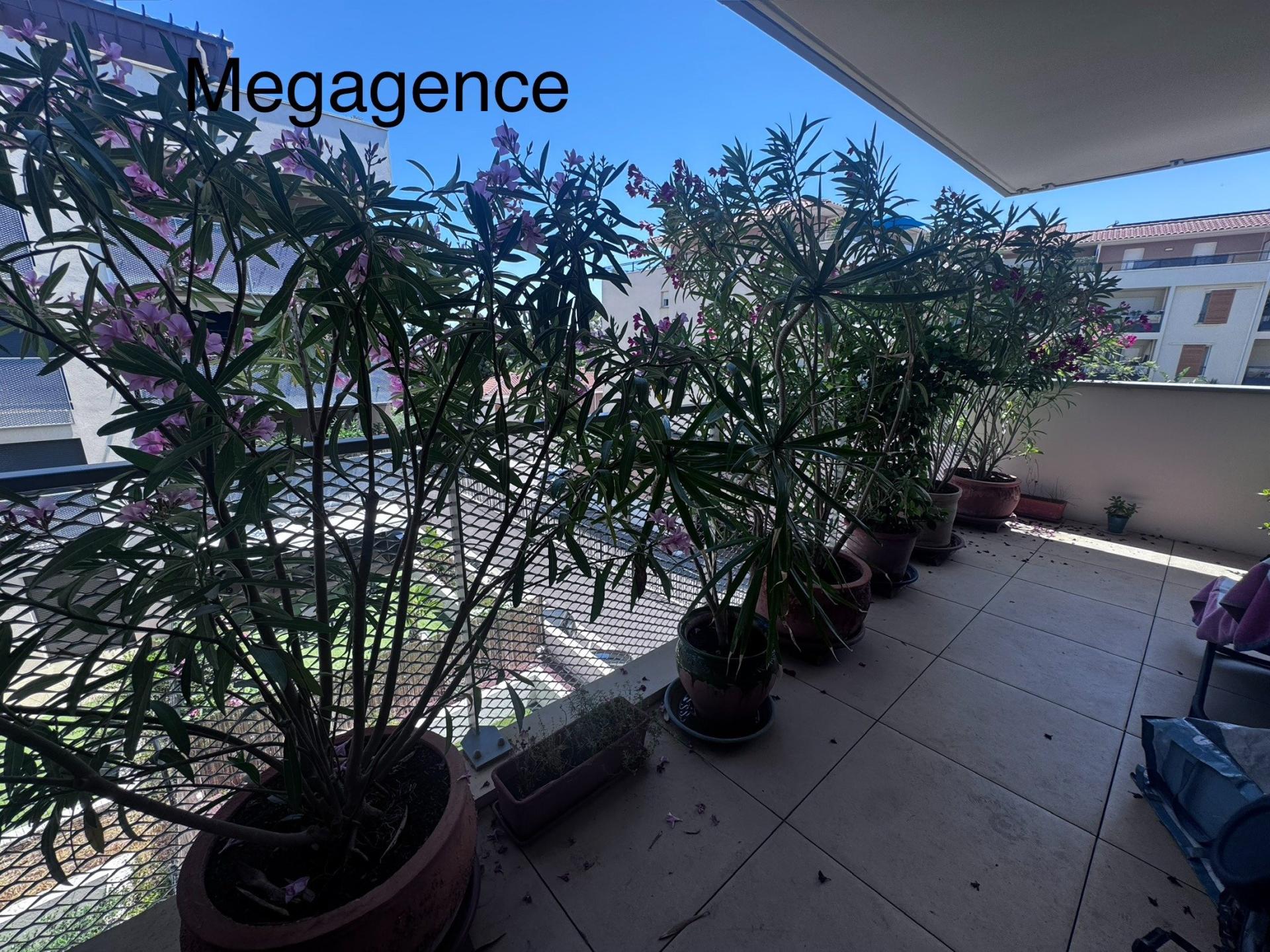 Miniature photo - 4 / 7