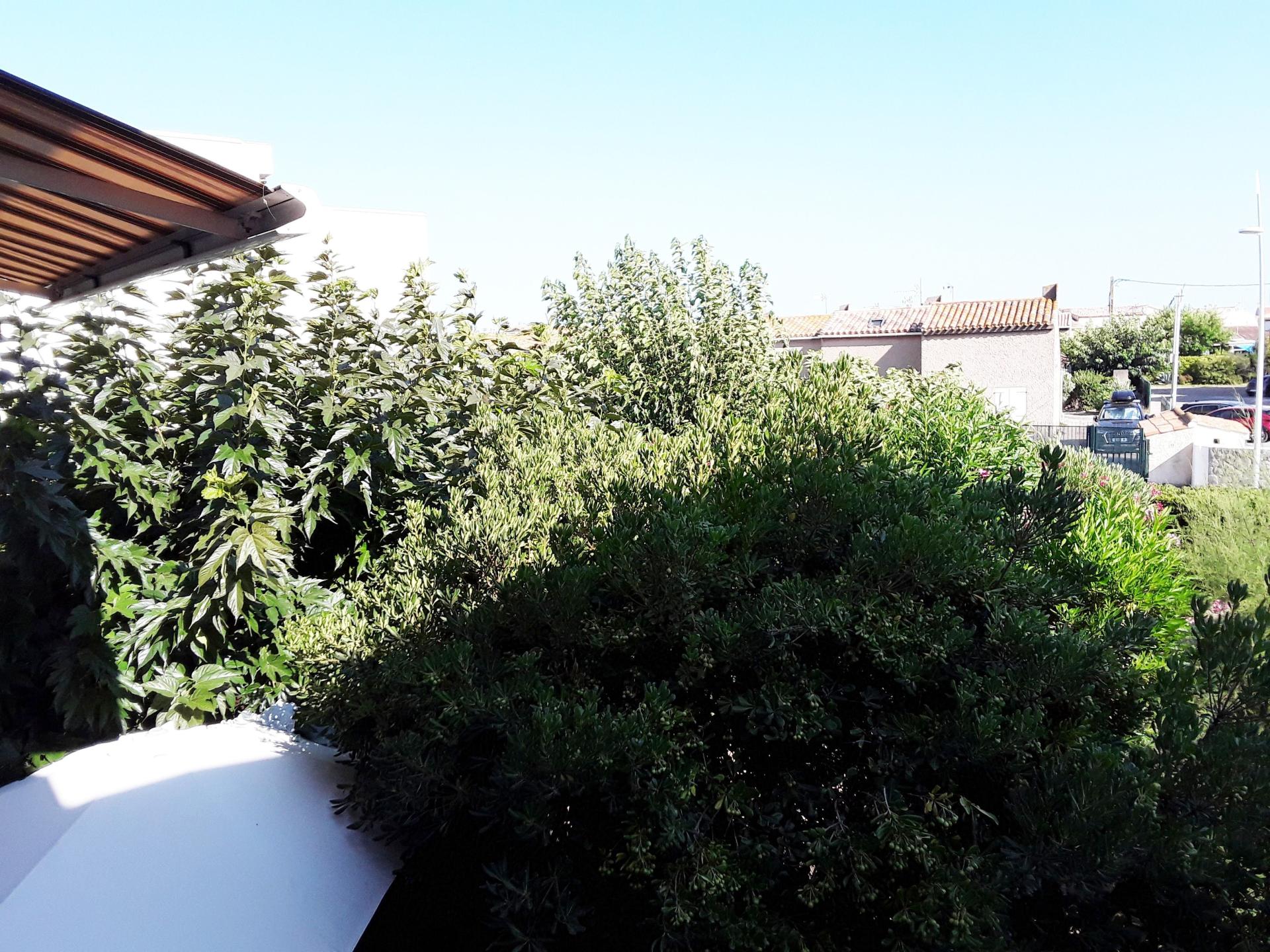 Miniature photo - 6 / 8