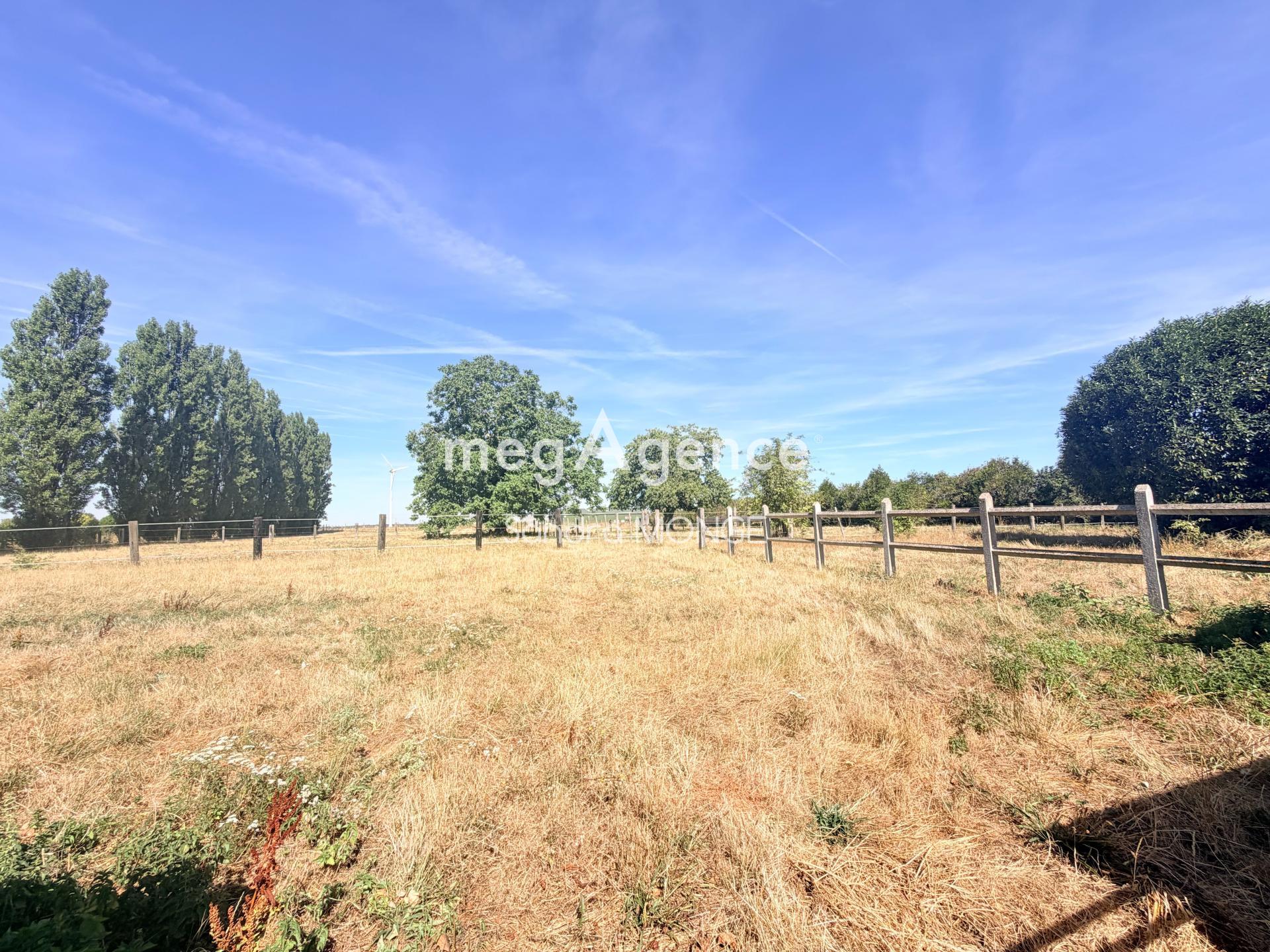 Miniature photo - 9 / 9