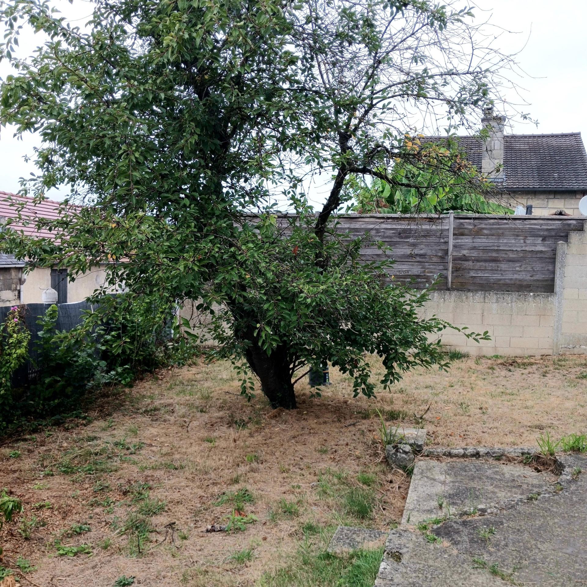 Miniature photo - 7 / 7