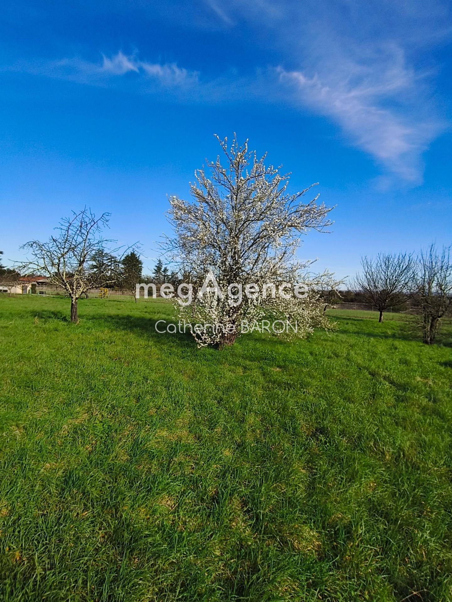Terrain 760 m² · à Cognac · 45 000 €