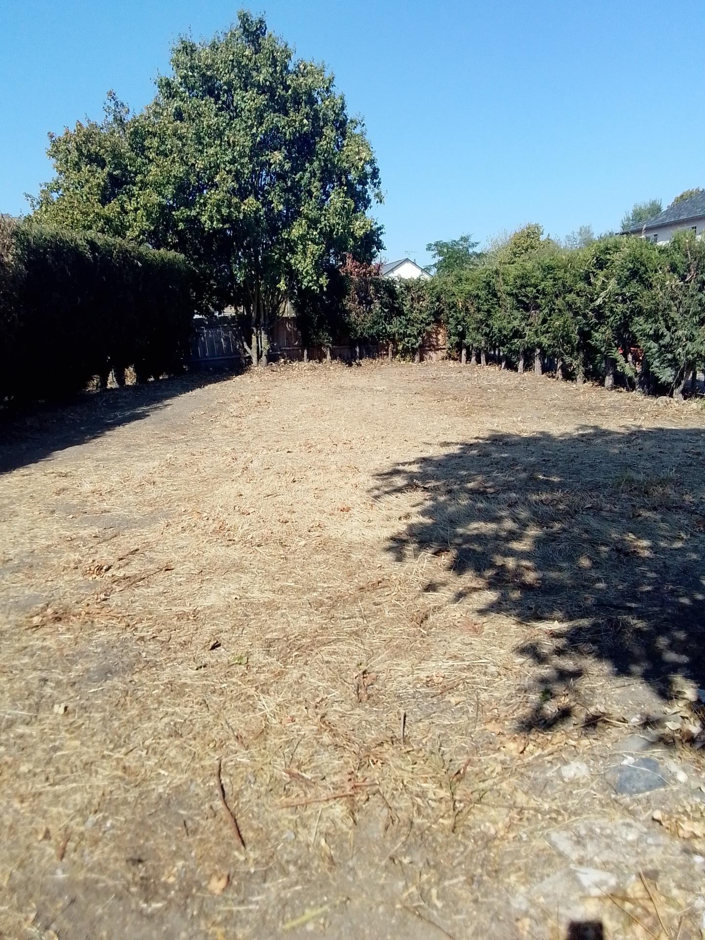 Miniature photo - 2 / 6