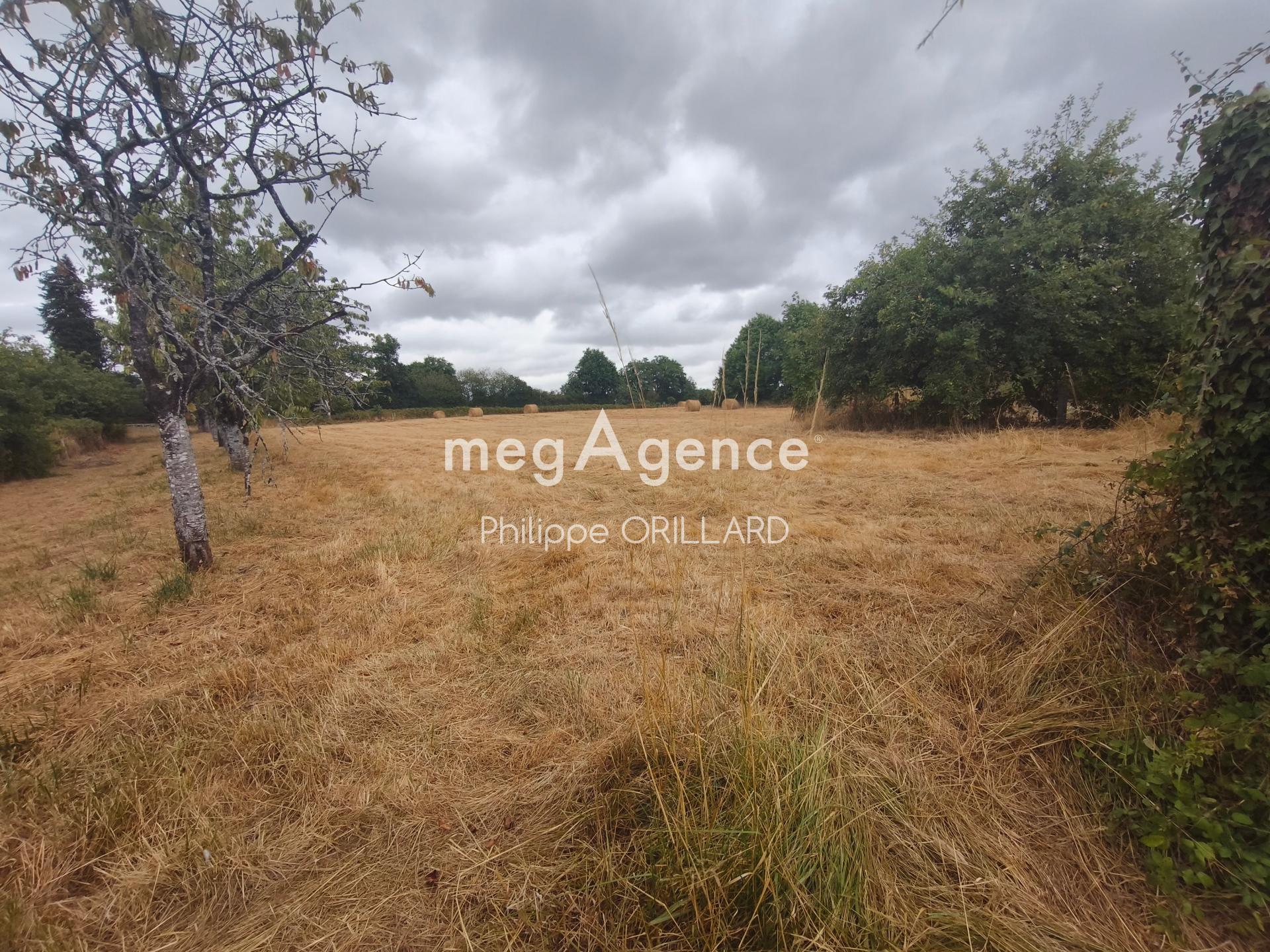 Achat : Maison à SOUDAN, 44110 - 5 pièces 89m² — 10