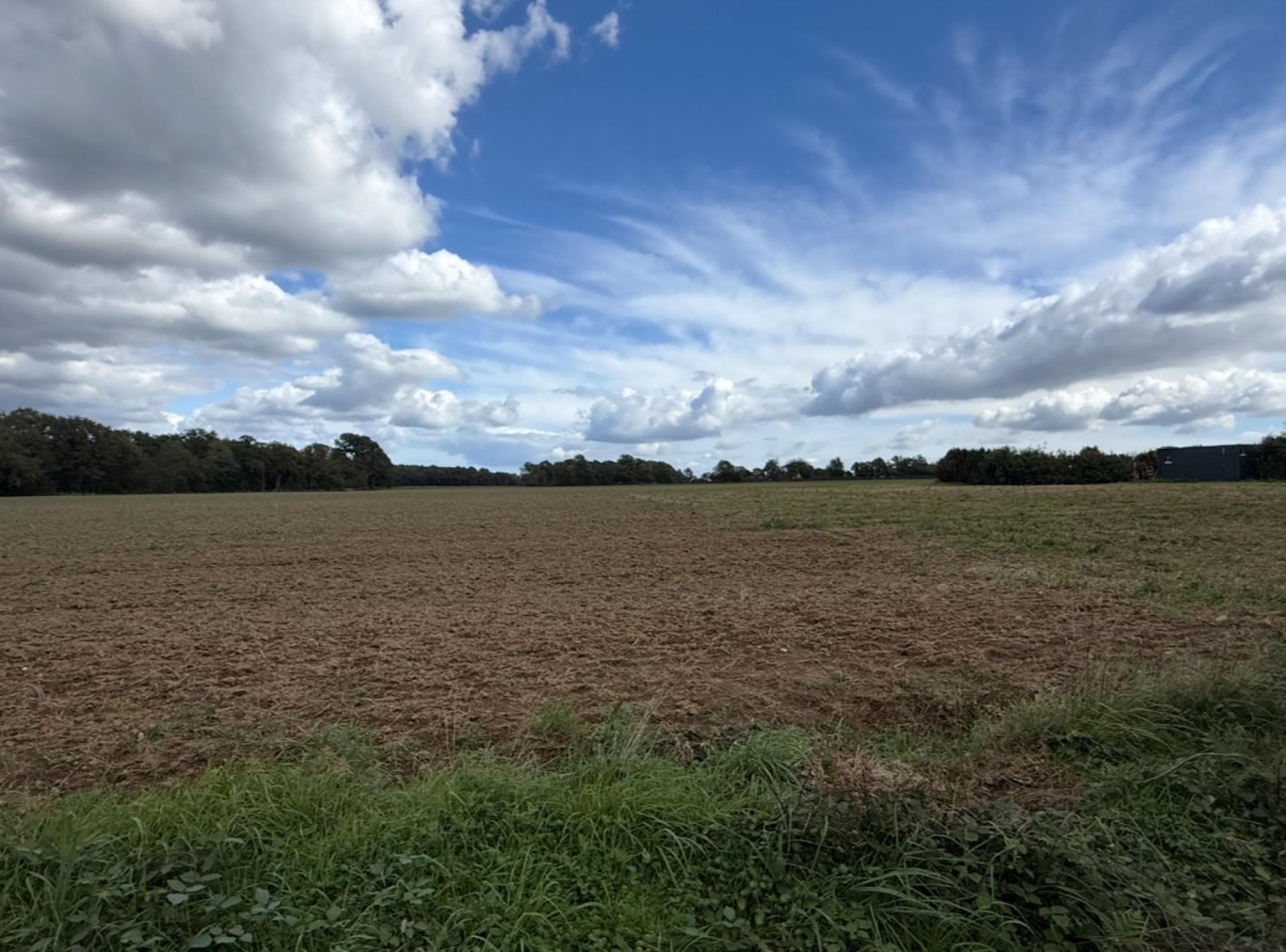 Terrain à MOLAC, 56230 - 950m² · 64 950 €