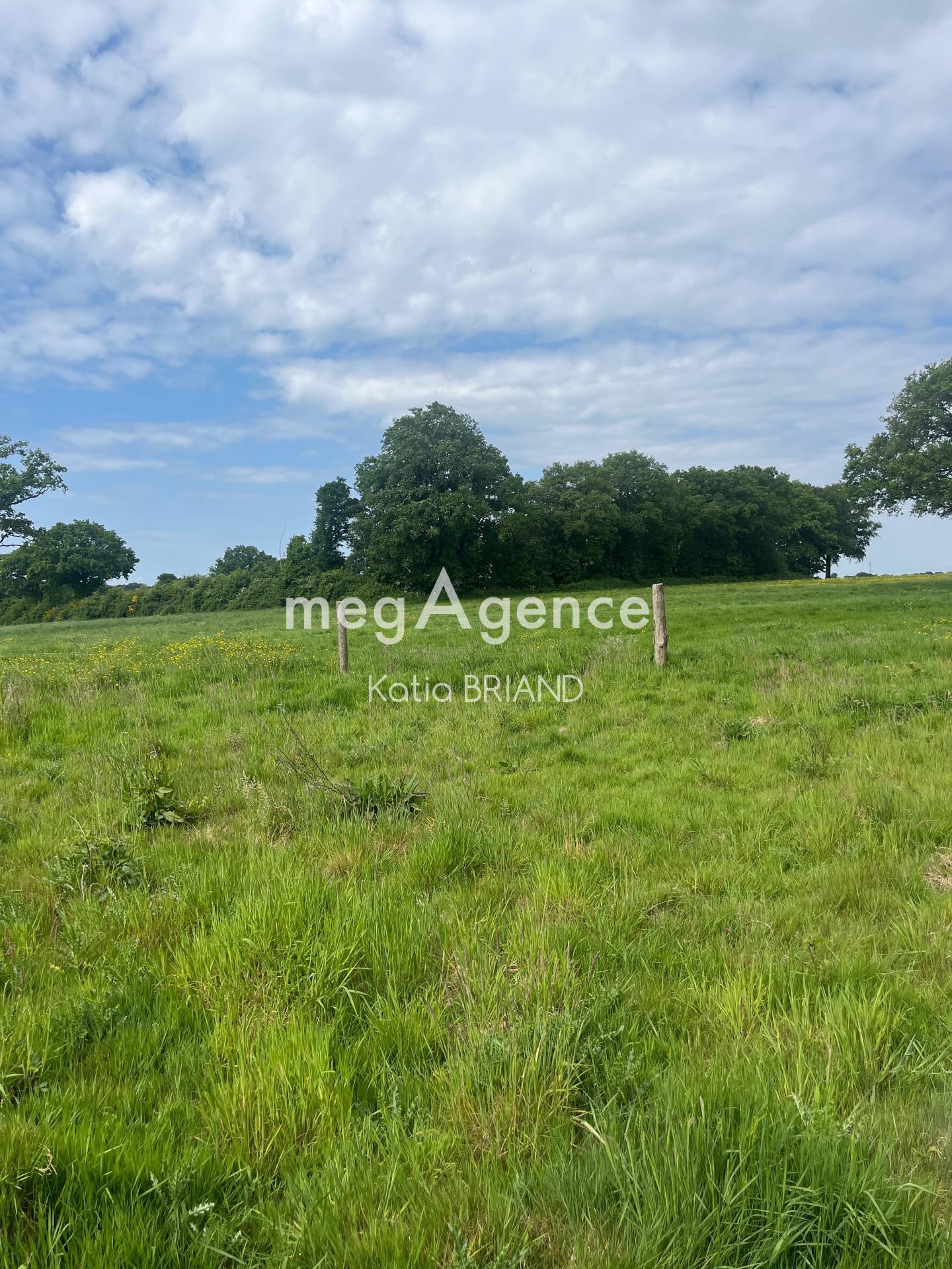 Terrain à SAINT-BERTHEVIN, 53940 - 31800m² · 73 000 €