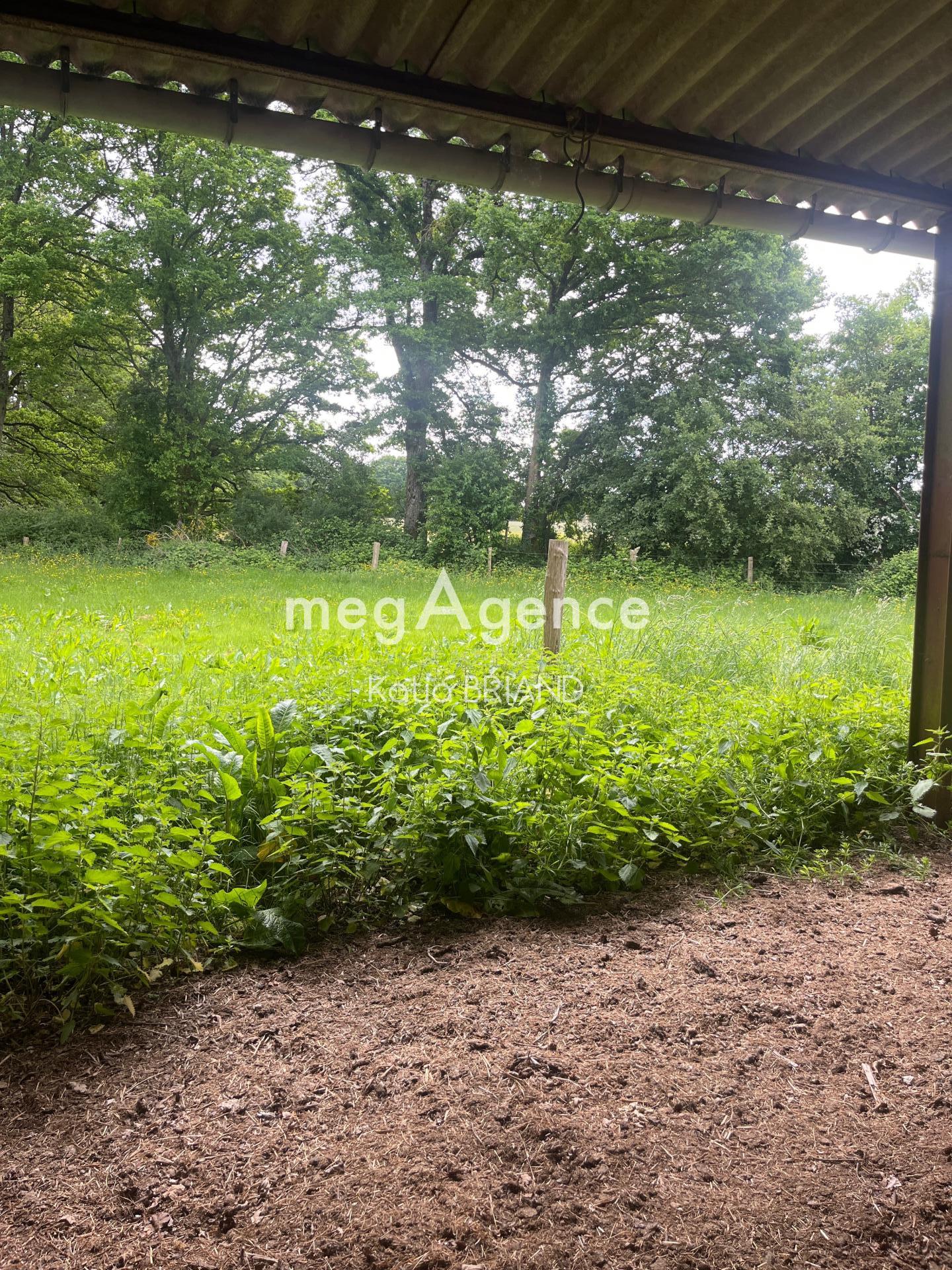 Miniature photo - 3 / 3
