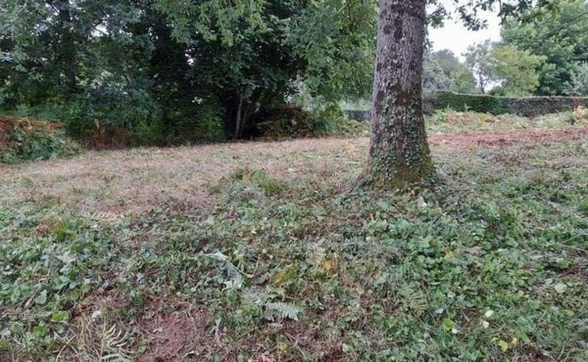 Terrain 660 m² · aux Monts d'Andaine · 17 500 €