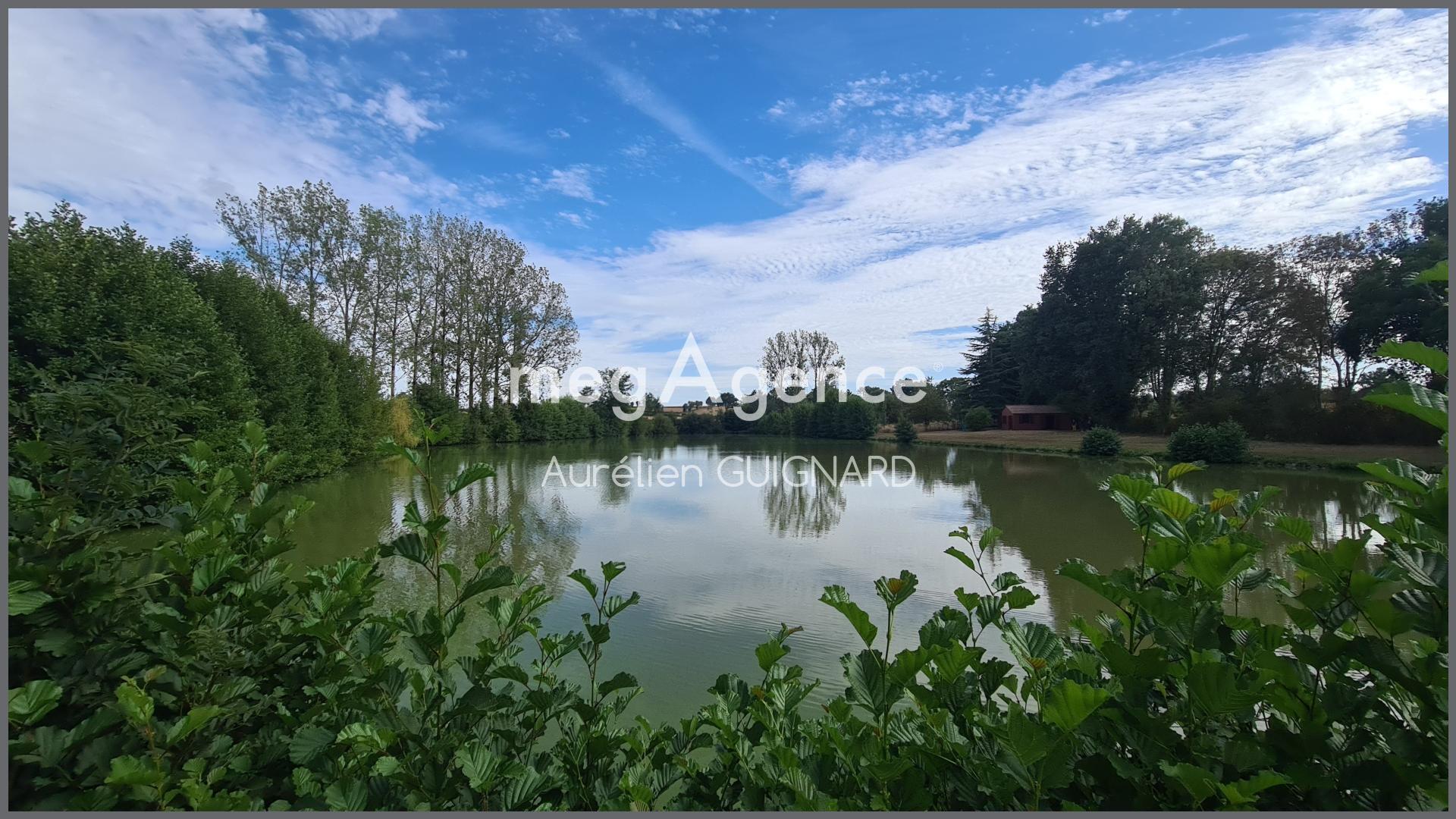 Miniature photo - 10 / 12