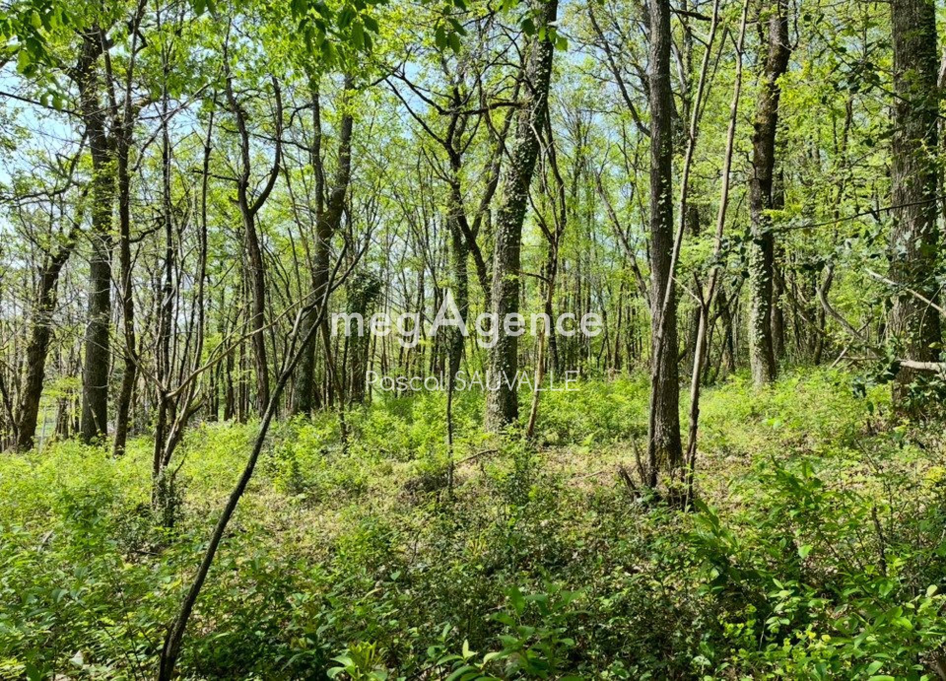 Terrain à CHANCELADE, 24650 - 4400m² · 45 000 €