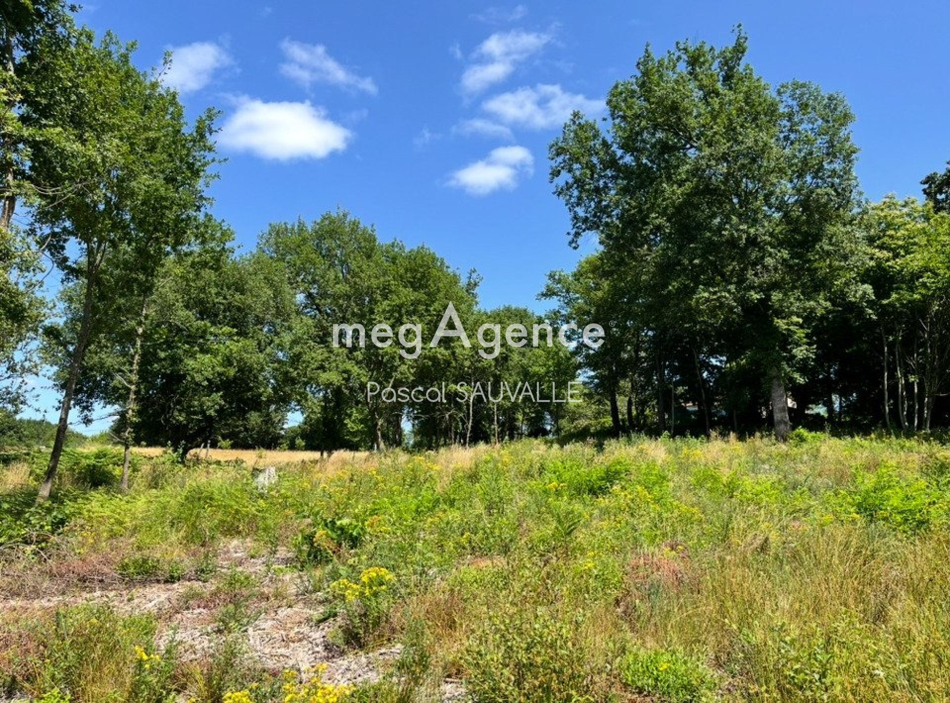 Terrain à Villamblard, 24140 - 3330m² · 39 000 €
