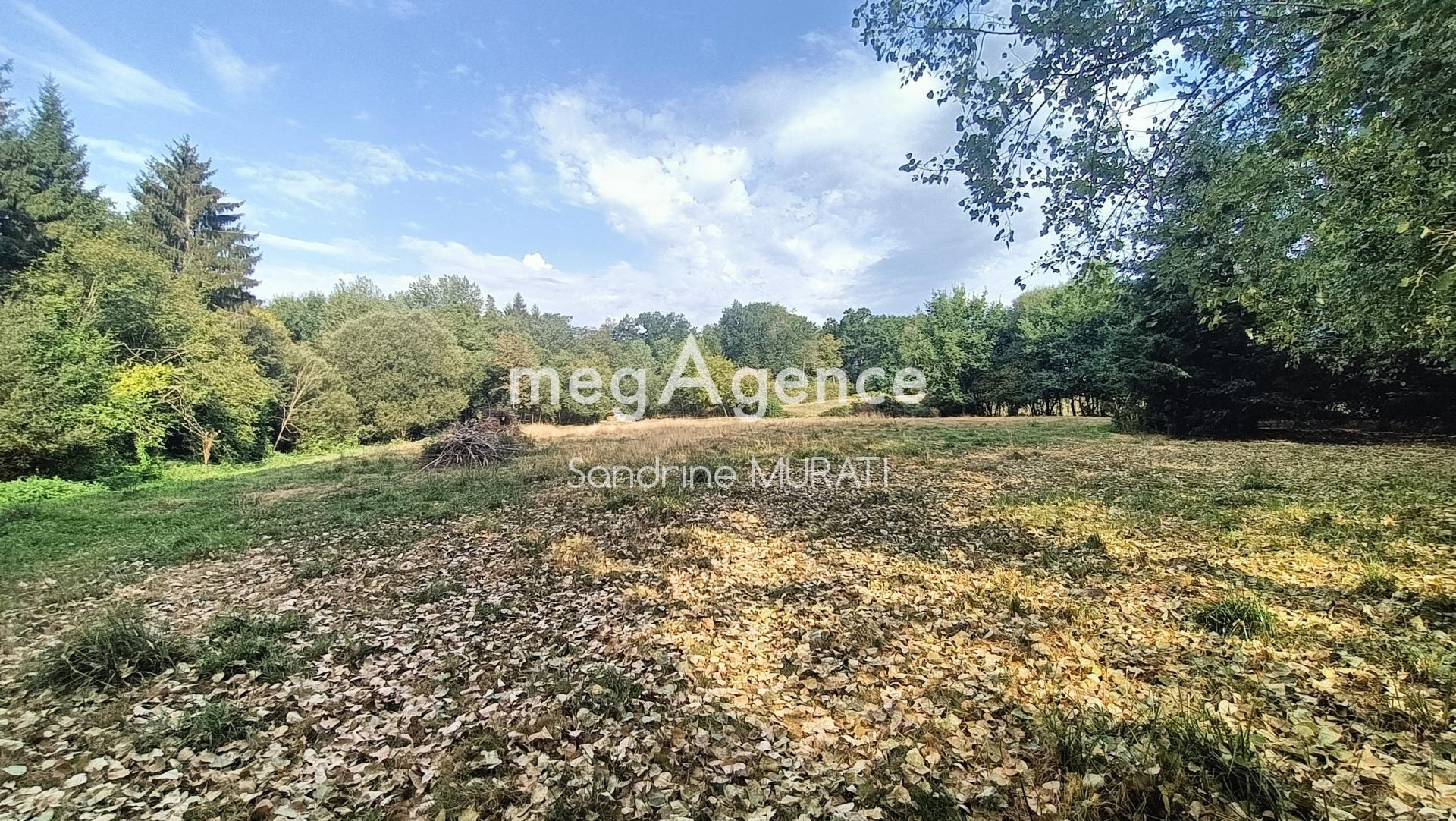 Miniature photo - 4 / 6
