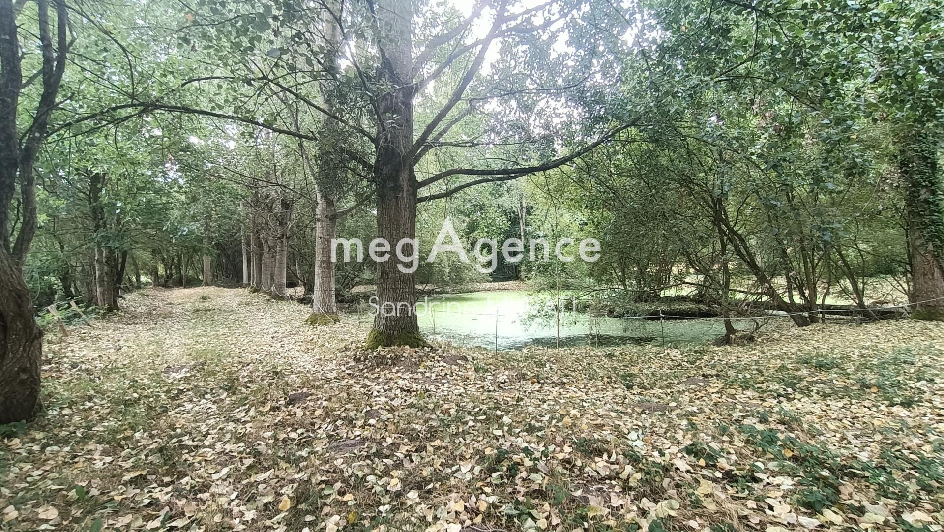 Terrain à RIVES D'ANDAINE, 61140 - 10100m² · 20 000 €