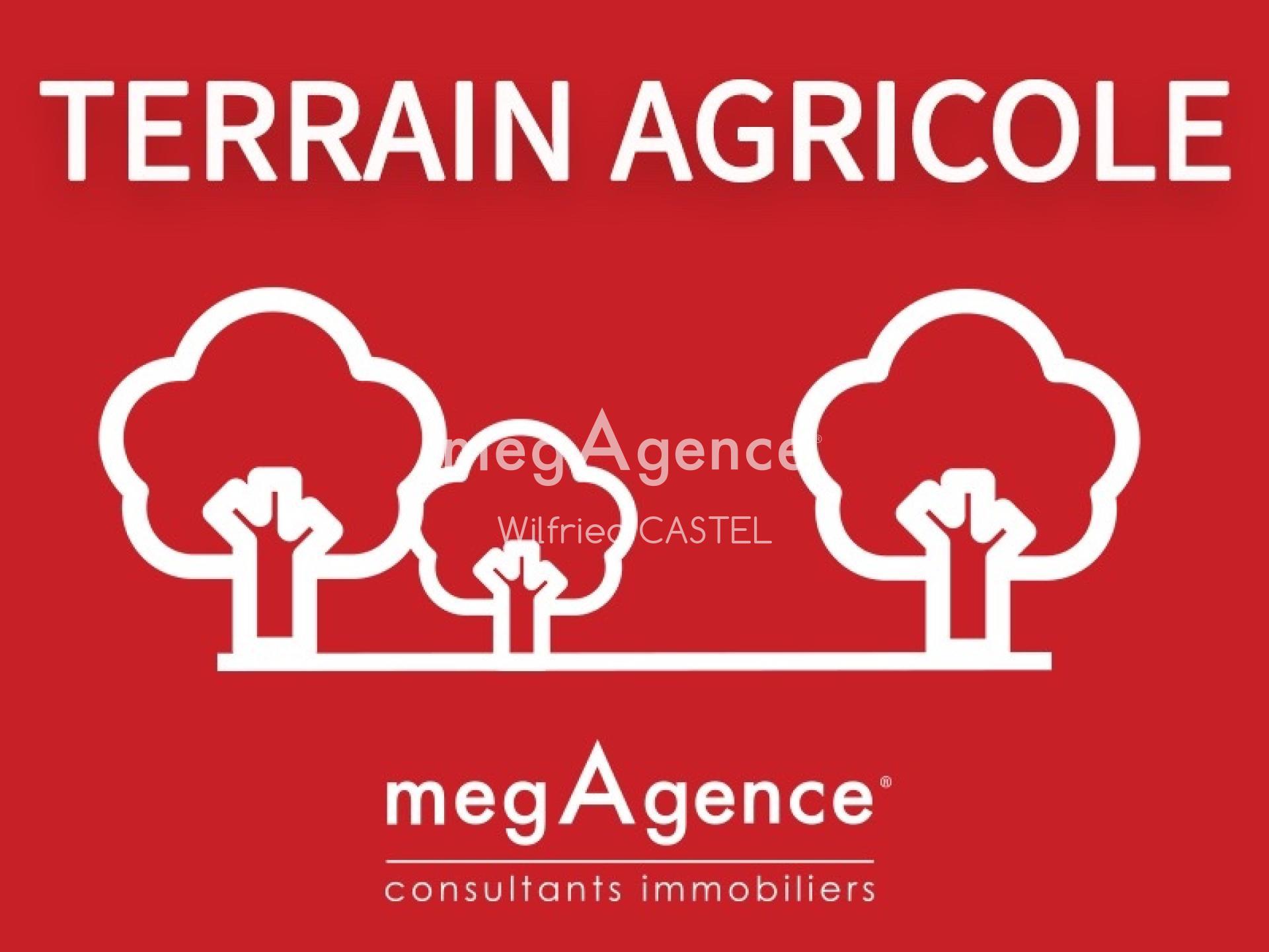 Terrain à Les Achards, 85150 - 371951m² · 115 300 €