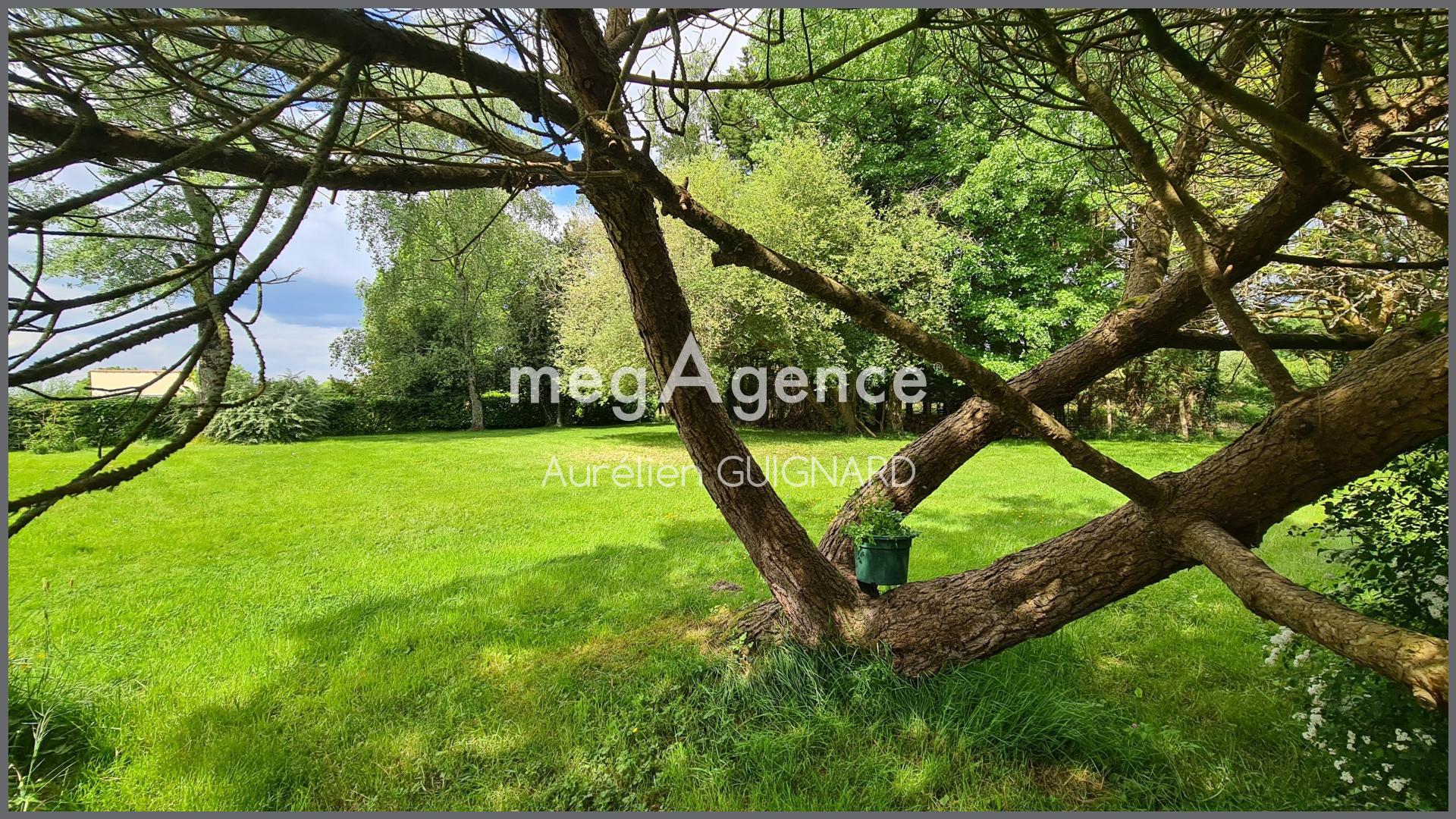 Miniature photo - 16 / 17