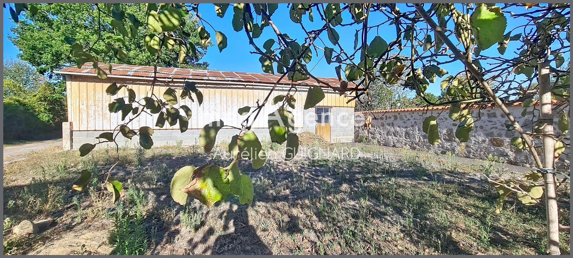 Miniature photo - 15 / 17
