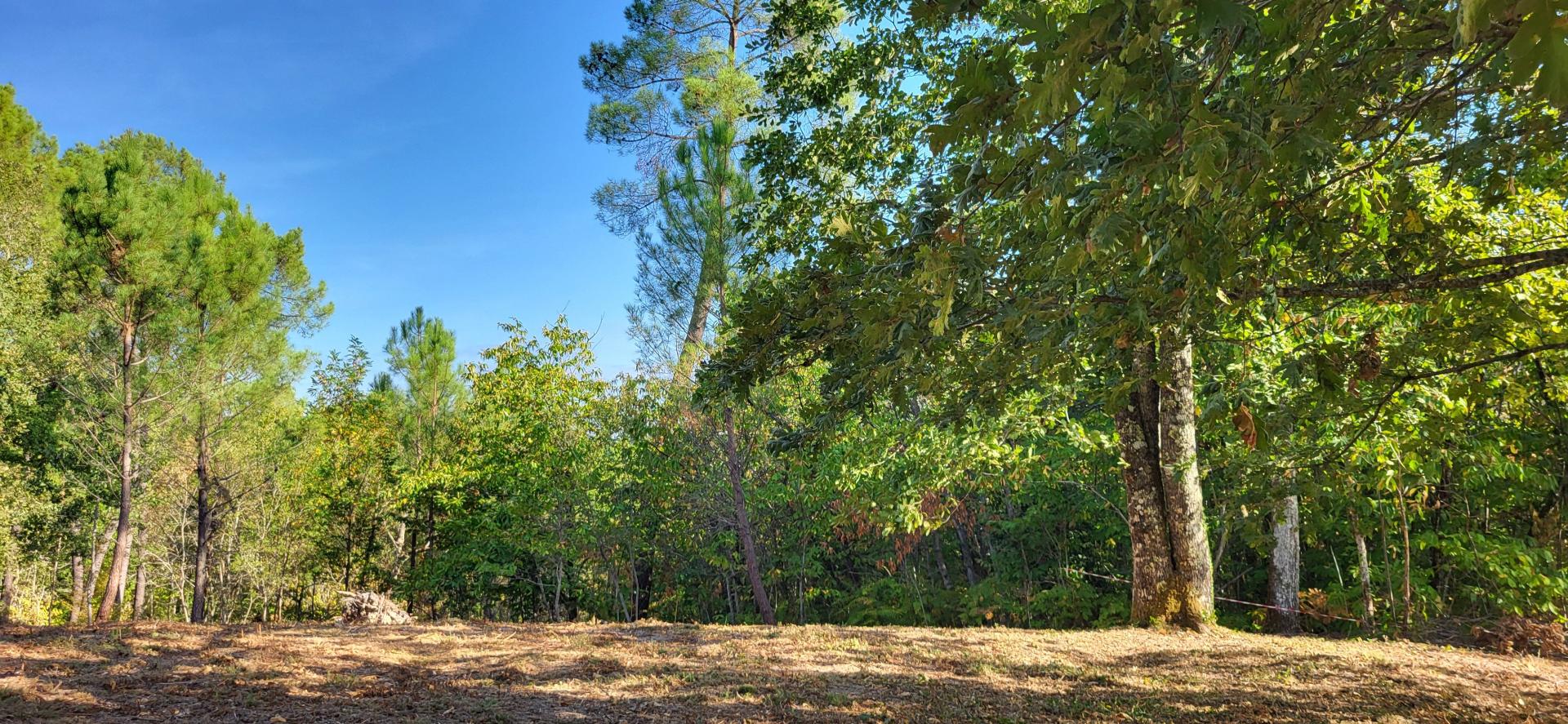 Terrain à Bergerac, 24100 - 4957m² · 40 000 €