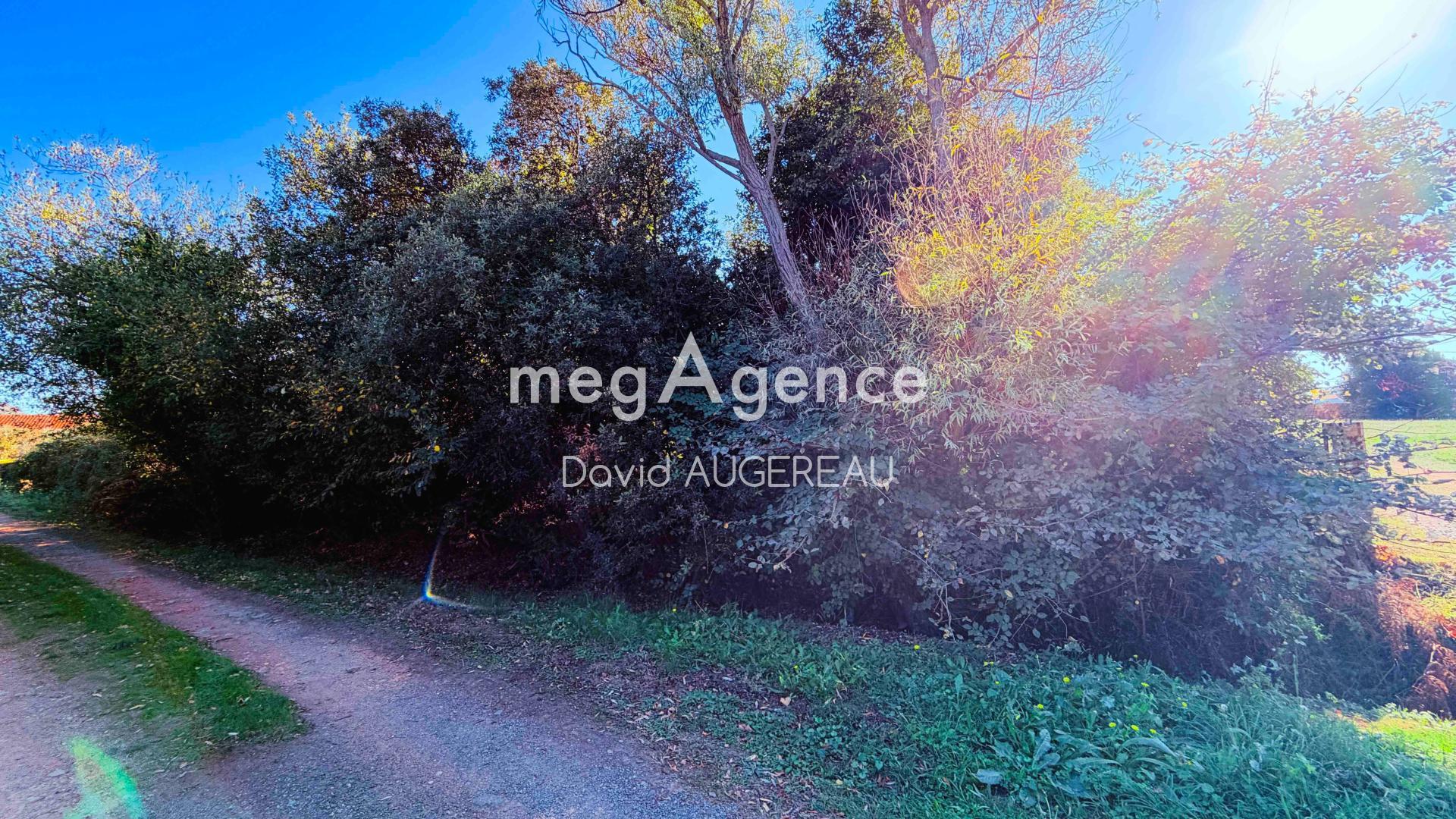 Terrain 994 m² · à L'Île-d'Yeu · 994 m² · 259 000 €