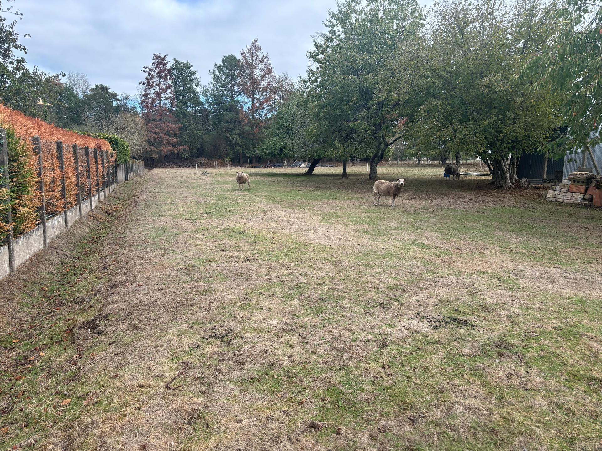 Terrain 3240 m² · à Pleucadeuc · 71 000 €