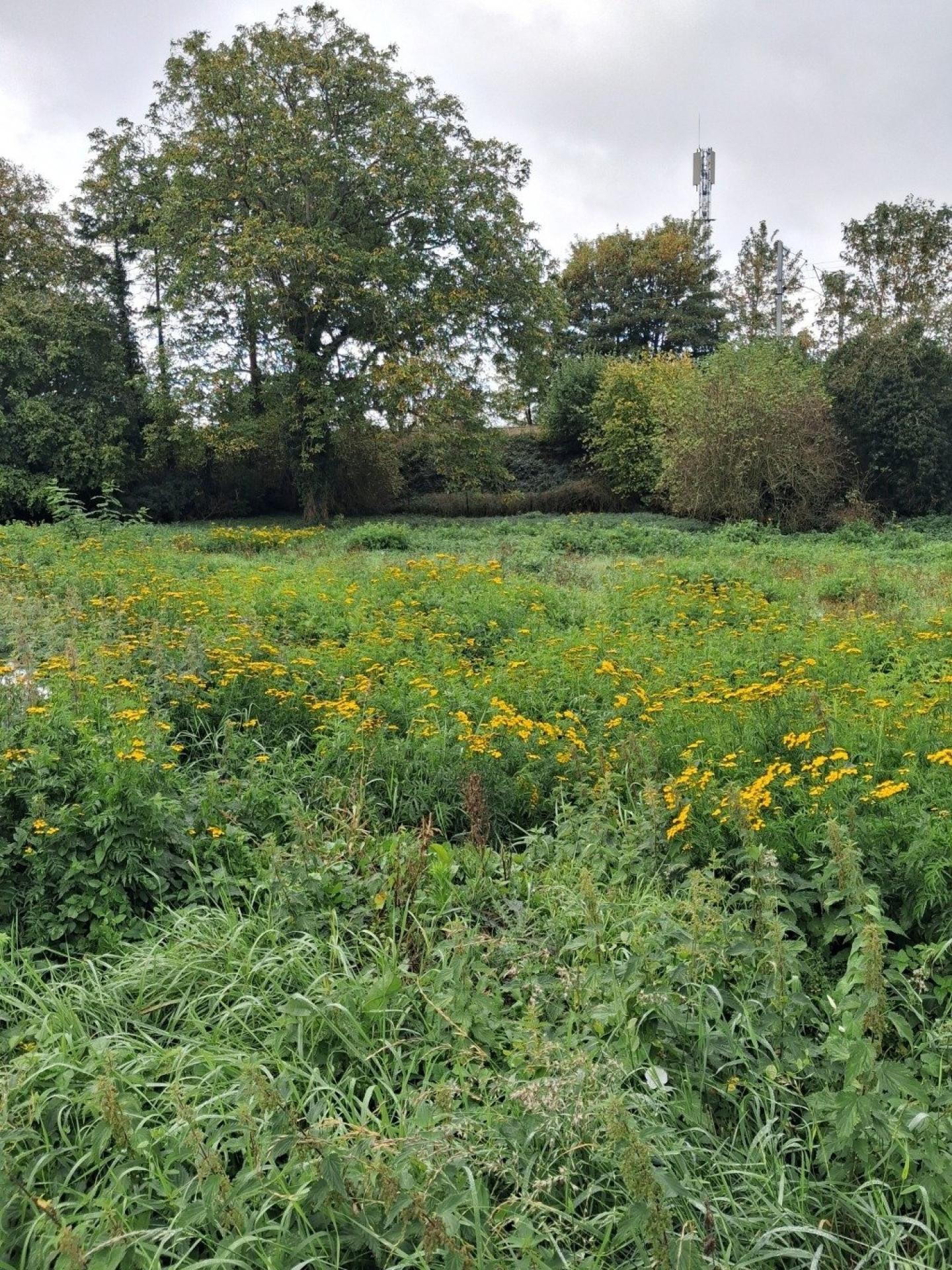 Terrain 599 m² · à Dechy · 599 m² · 64 900 €
