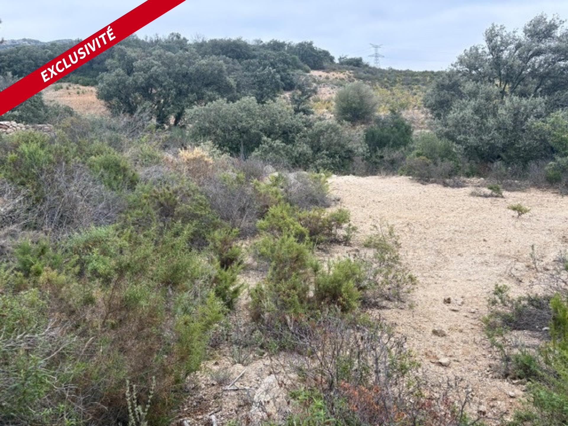Terrain agricole 10160 m2