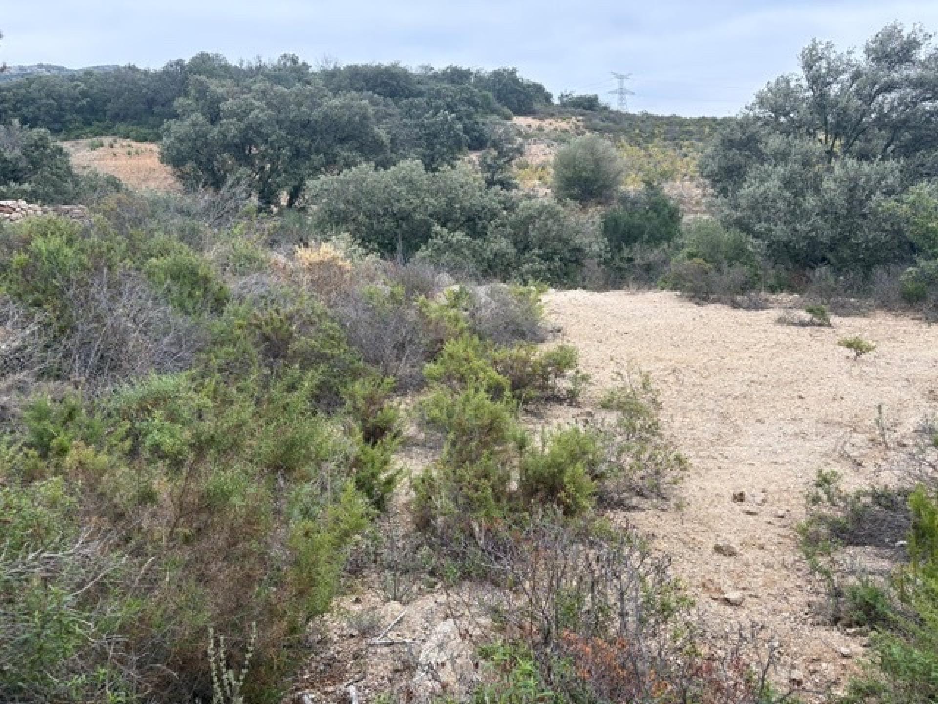 Terrain 10160 m² · à Bélesta · 17 000 €