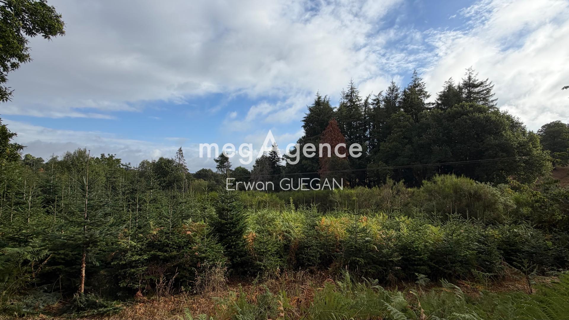 Terrain 13543 m² · à Mellionnec · 35 000 €