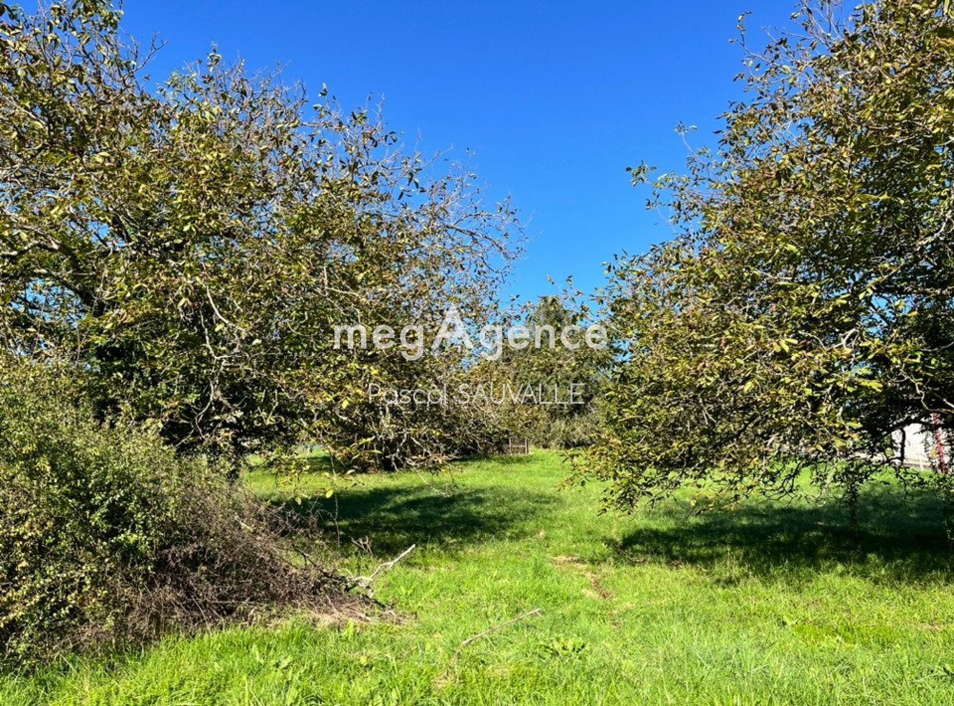Terrain 890 m² · à Château-l'Évêque · 30 000 €