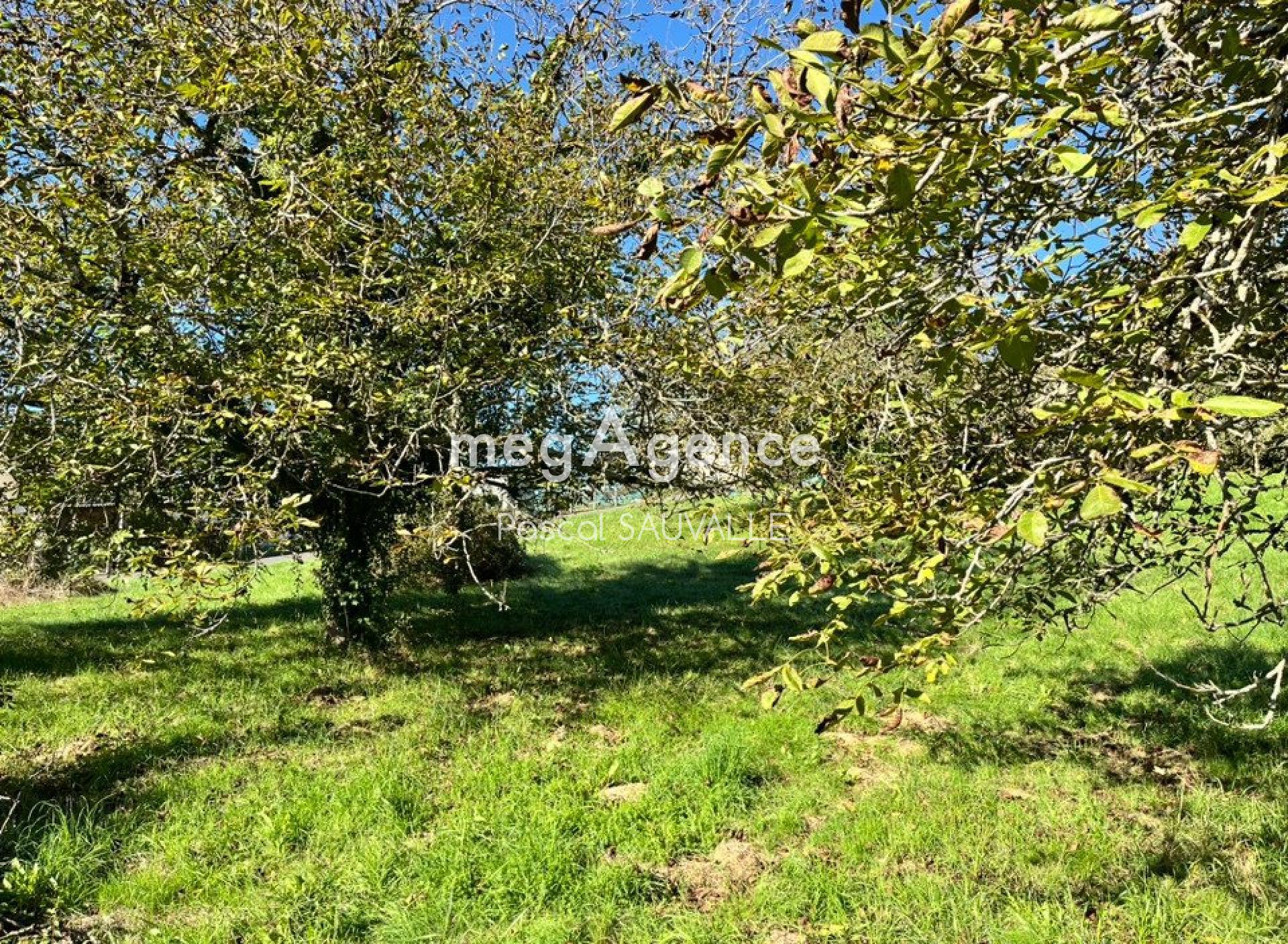 Terrain 950 m² · à Château-l'Évêque · 30 000 €
